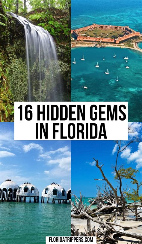 Magical Beaches: Florida's Best-Kept Secrets
